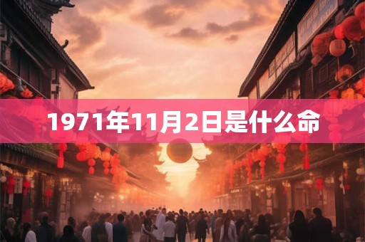1971年11月2日是什么命