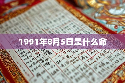 1991年8月5日是什么命