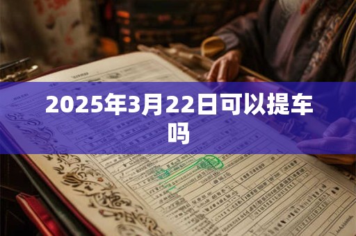 2025年3月22日可以提车吗