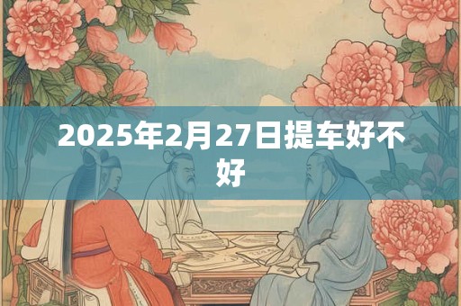 2025年2月27日提车好不好