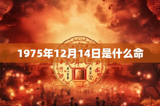 1975年12月14日是什么命