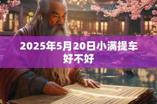 2025年5月20日小满提车好不好