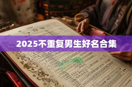 2025不重复男生好名合集