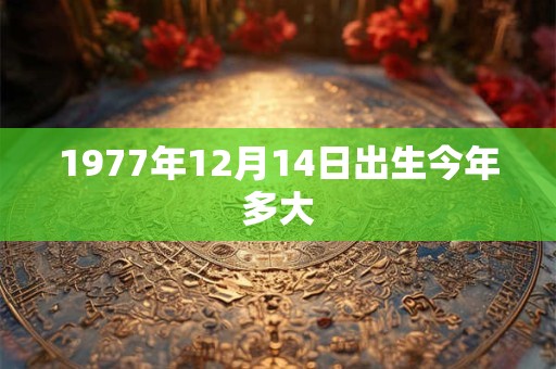 1977年12月14日出生今年多大