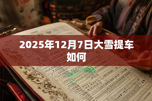 2026年12月7日大雪提车如何