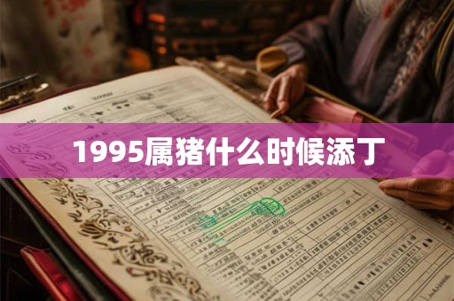 1995属猪什么时候添丁