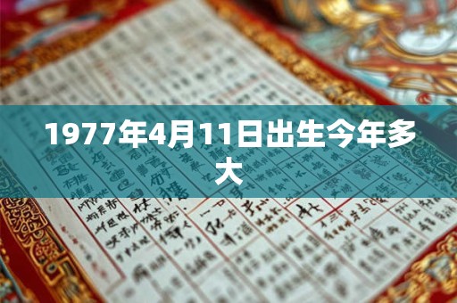 1977年4月11日出生今年多大