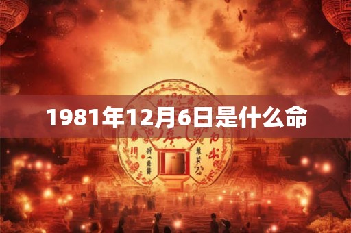 1981年12月6日是什么命 1981年12月6日是什么命
