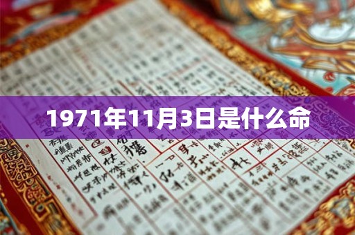 1971年11月3日是什么命