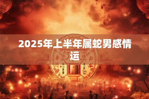 2025年上半年属蛇男感情运