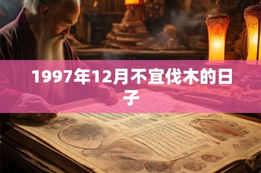1997年12月不宜伐木的日子