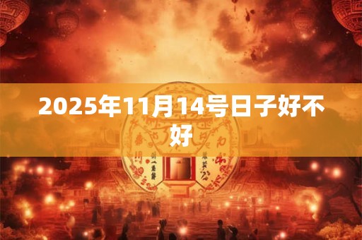 2025年11月14号日子好不好