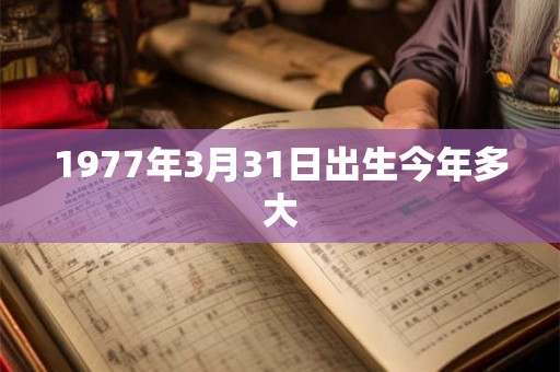 1977年3月31日出生今年多大