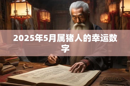 2025年5月属猪人的幸运数字