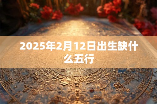 2025年2月12日出生缺什么五行 2025年2月12日出生缺什么五行