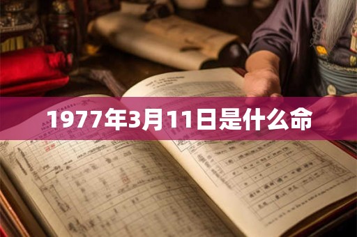 1977年3月11日是什么命