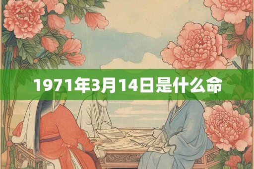 1971年3月14日是什么命