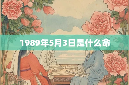 1989年5月3日是什么命