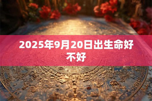 2025年9月20日出生命好不好
