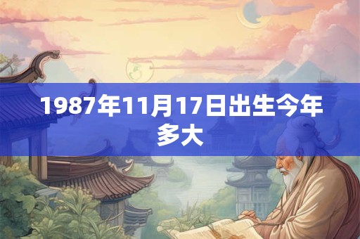 1987年11月17日出生今年多大