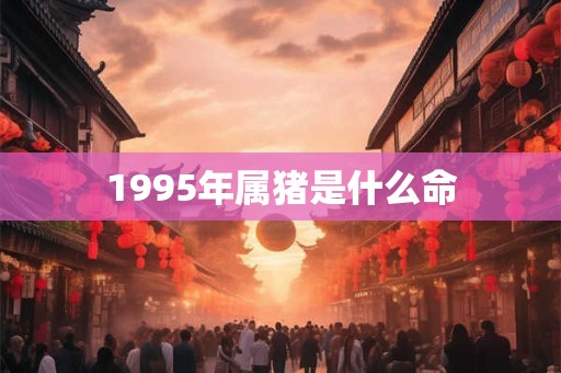 1995年属猪是什么命