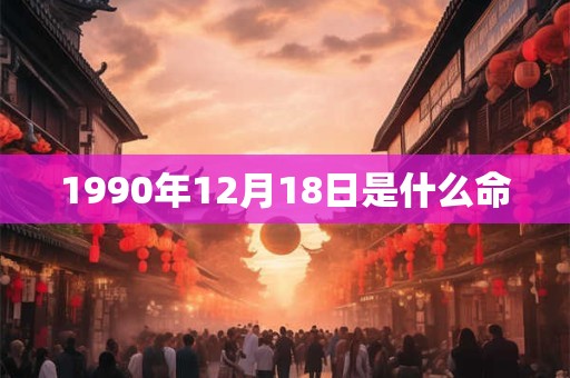 1990年12月18日是什么命