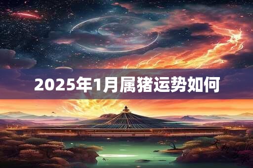 2025年1月属猪运势如何