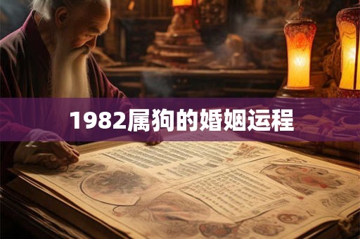1982属狗的婚姻运程