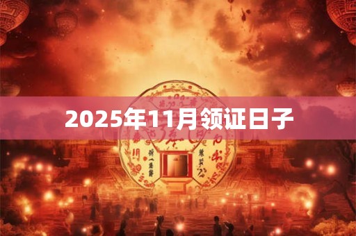 2025年11月领证日子
