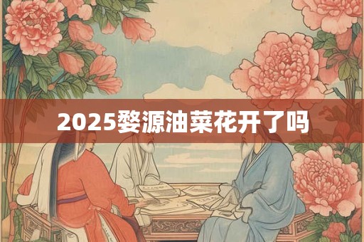 2025婺源油菜花开了吗