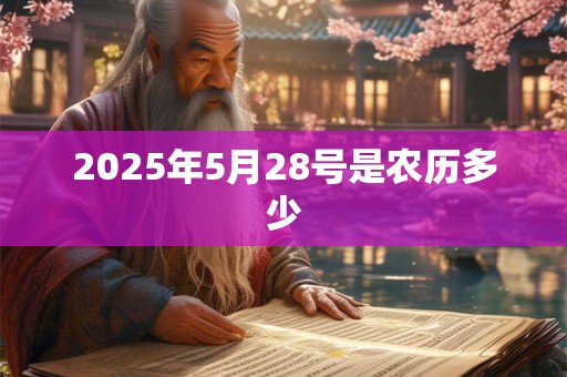 2025年5月28号是农历多少