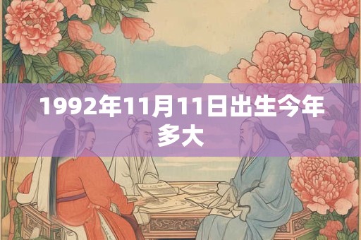 1992年11月11日出生今年多大