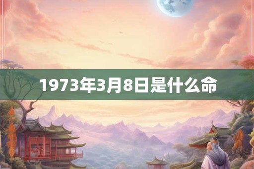 1973年3月8日是什么命