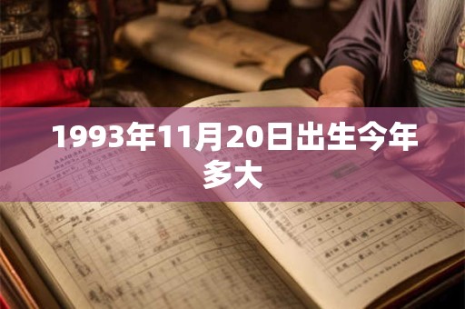1993年11月20日出生今年多大