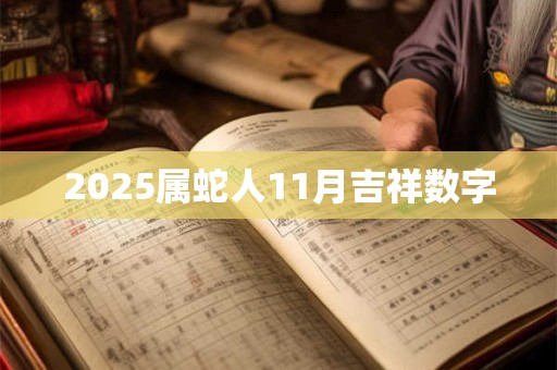 2025属蛇人11月吉祥数字