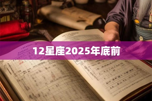 12星座2025年底前