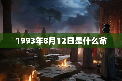 1993年8月12日是什么命