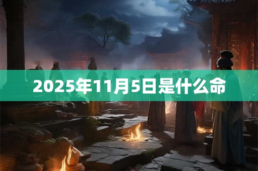 2025年11月5日是什么命