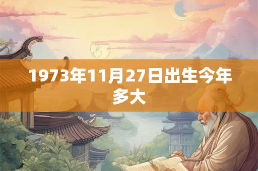 1973年11月27日出生今年多大