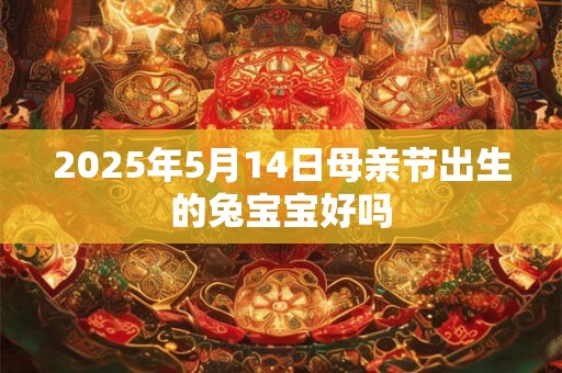 2025年5月14日母亲节出生的兔宝宝好吗