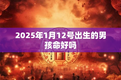2025年1月12号出生的男孩命好吗