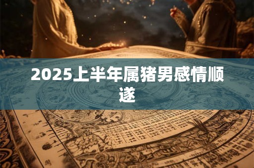 2025上半年属猪男感情顺遂