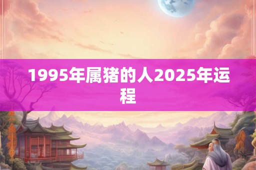 1995年属猪的人2025年运程