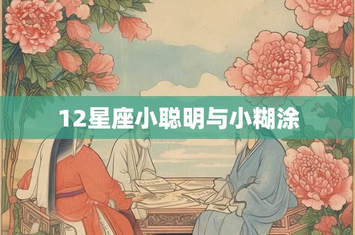 12星座小聪明与小糊涂