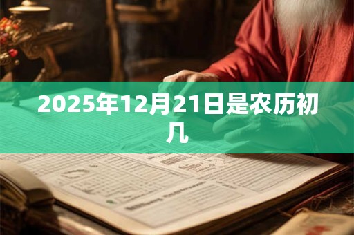 2025年12月21日是农历初几