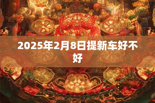 2025年2月8日提新车好不好