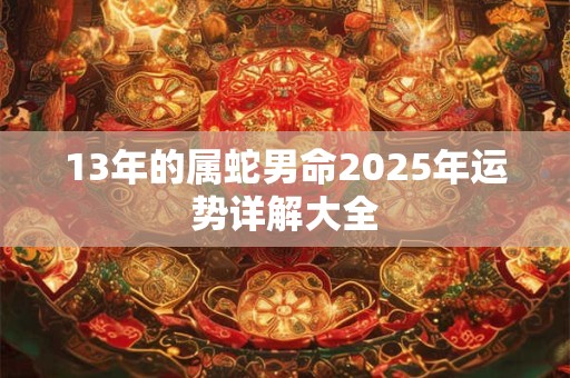 13年的属蛇男命2025年运势详解大全
