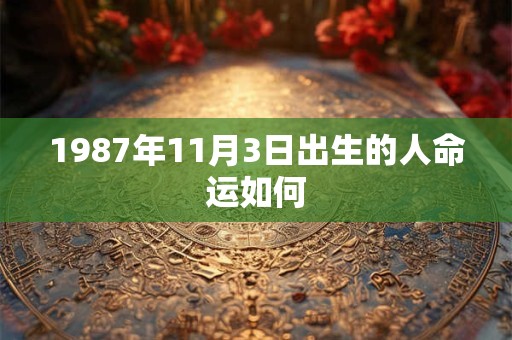 1987年11月3日出生的人命运如何