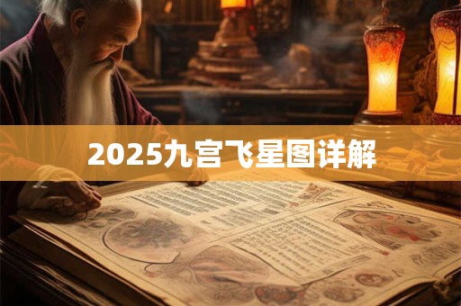 2025九宫飞星图详解