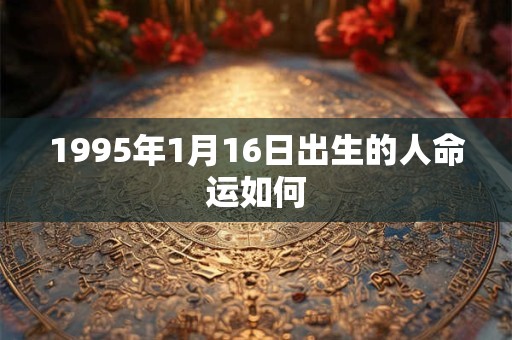 1995年1月16日出生的人命运如何